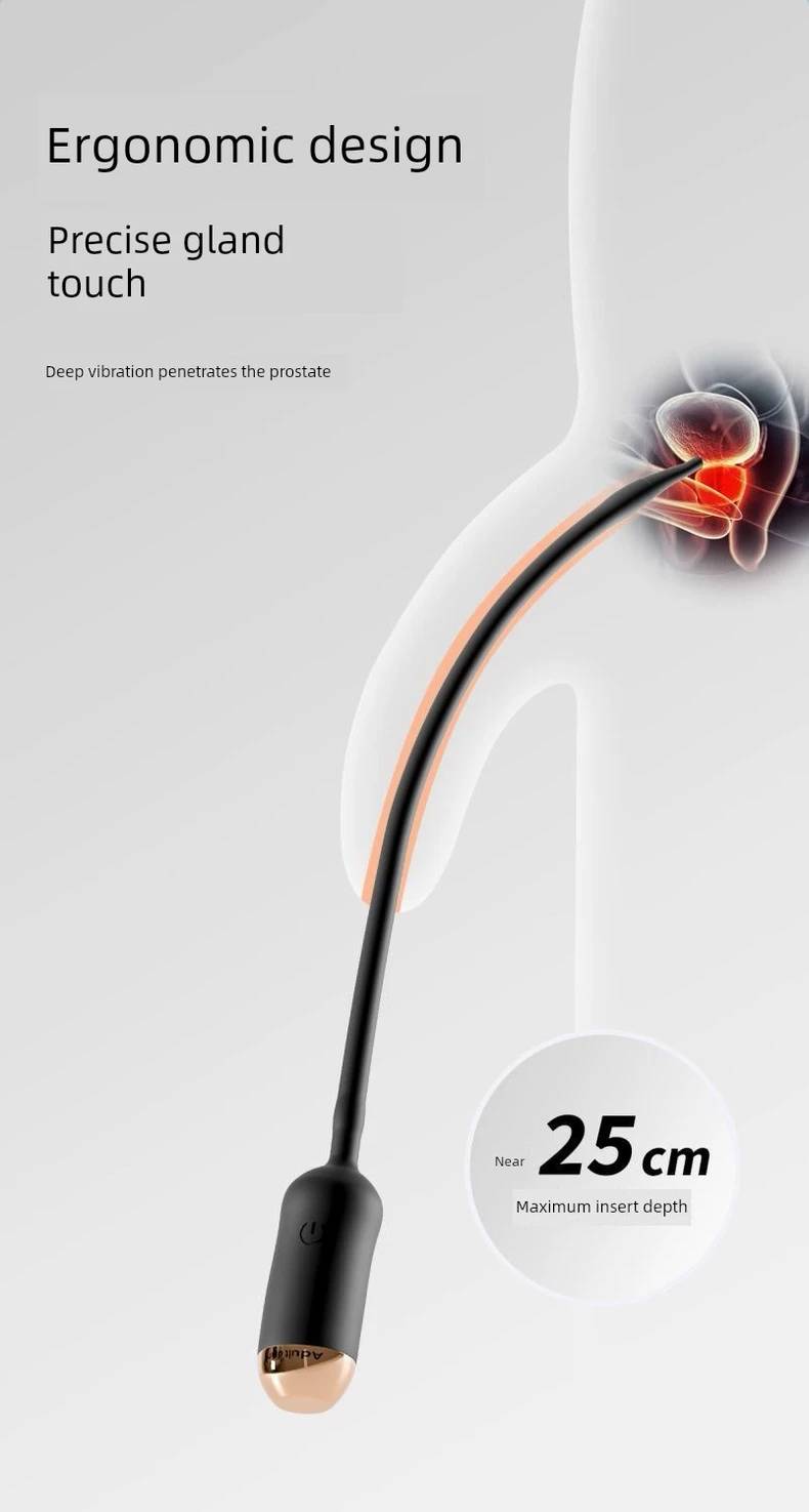 สิลิฌคนสอดรูฉี่ยาว 25 CM สั่นได้ 10 แบบ ชาร์จ USB ( รหัส RP69 )